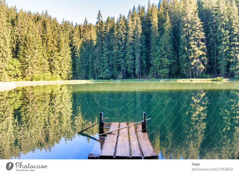 Forest lake in the mountains with blue water Beautiful Relaxation Vacation & Travel Tourism Trip Freedom Summer Summer vacation Sun Beach Mountain Environment