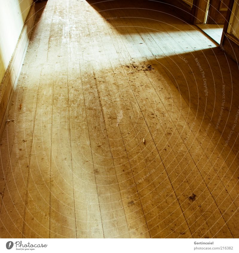 floodlight House (Residential Structure) Room Door Bright Ground Wooden floor Floorboards Flare Shaft of light Colour photo Subdued colour Interior shot