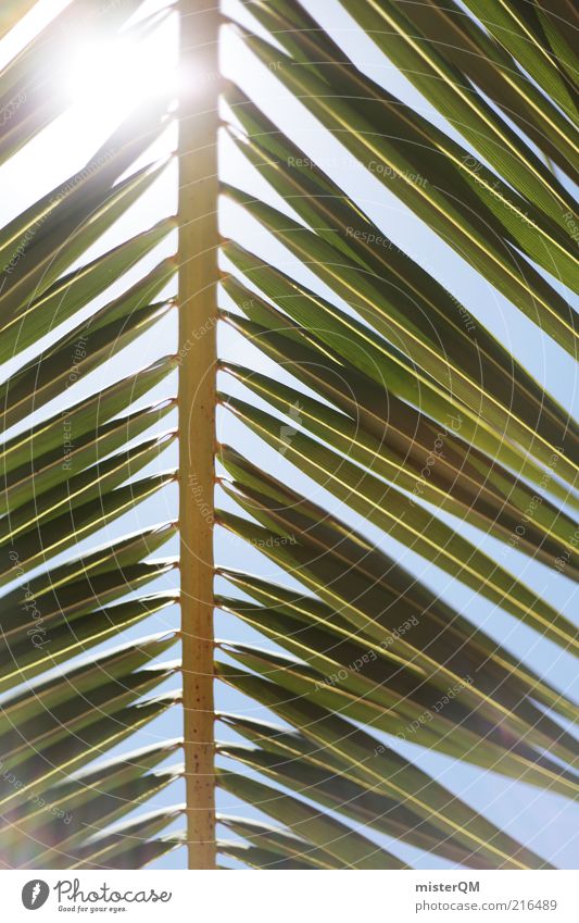 Far away. Environment Nature Weather Beautiful weather Esthetic Vacation & Travel Vacation mood Lesser Antilles Palm tree Palm frond Vacation photo