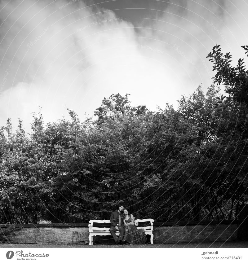 Young Happiness Human being Masculine Couple Partner Life 2 Clothing Dress Suit Love Sit Embrace Happy Beautiful Emotions Betrothal Bench Clouds in the sky