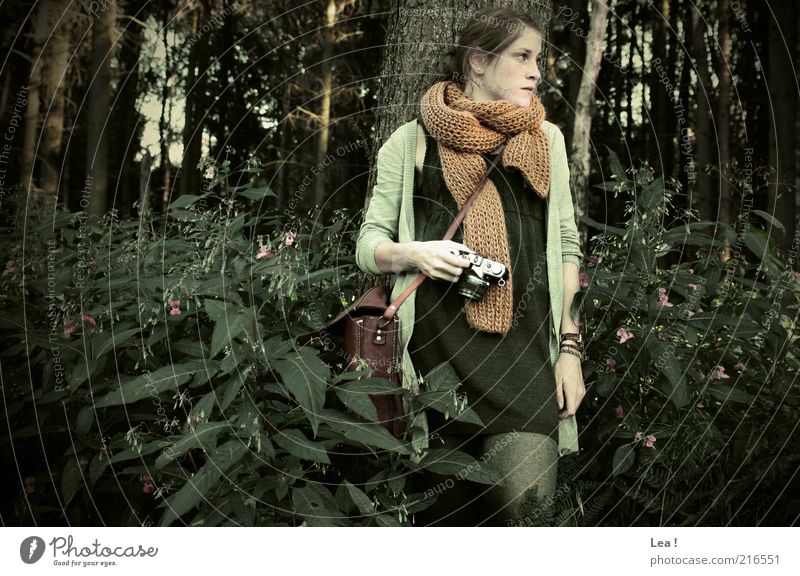 forest fairy Camera Feminine Young woman Youth (Young adults) 1 Human being Autumn Forest Dress Tights Scarf Bag Brunette Looking Stand Retro Calm Serene