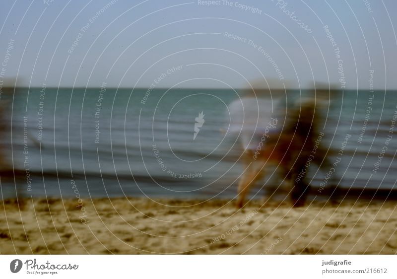beach movement Vacation & Travel Tourism Summer Beach Ocean Human being Group Water Sky Coast Baltic Sea Movement Relaxation Going Moody Attachment Together
