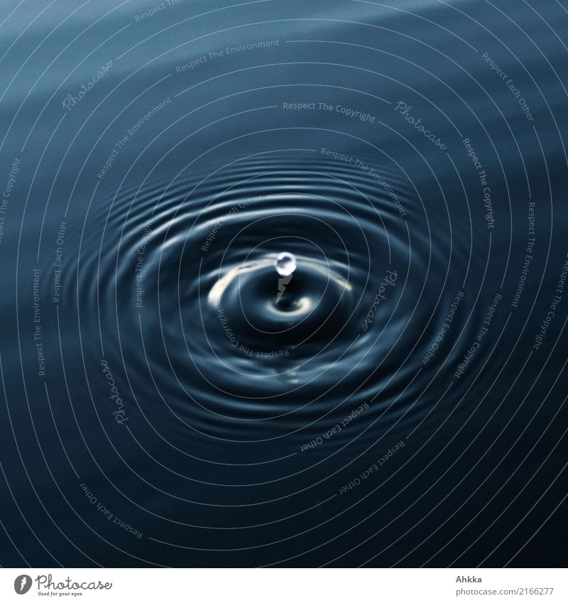 Round water drop jumps on dark water surface Health care Wellness Harmonious Well-being Senses Relaxation Calm Meditation Spa Study Academic studies