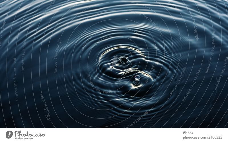 Water drops and divergent concentric circles Harmonious Well-being Relaxation Calm Meditation Elements Drops of water Fresh Glittering Round Sadness Thirst