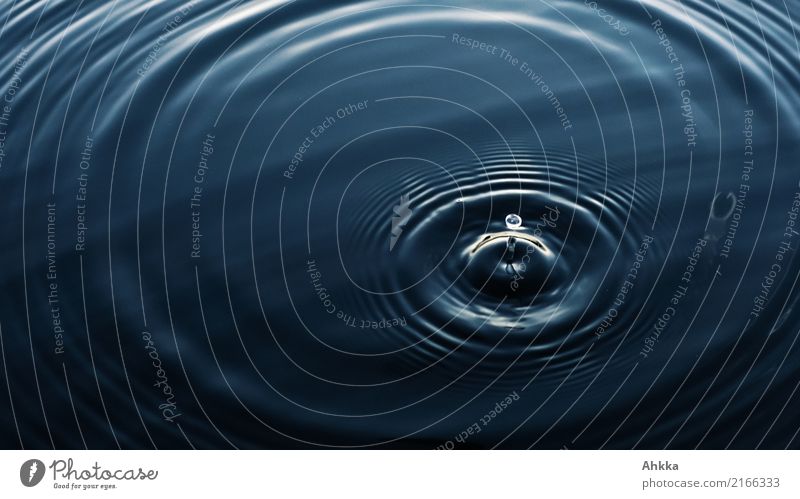 water drops, dark blue, concentric circles, silence, water Personal hygiene Health care Wellness Harmonious Well-being Senses Relaxation Calm Meditation Spa