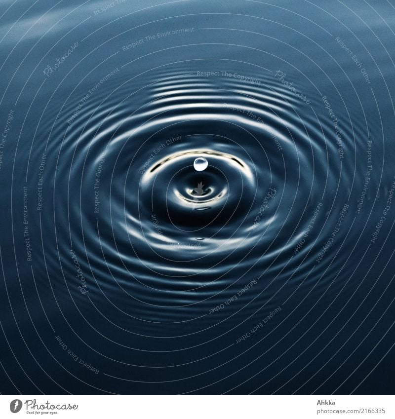 Water harmony, water drops and concentric circles Harmonious Well-being Contentment Senses Relaxation Calm Meditation Elements Drops of water To fall Flying