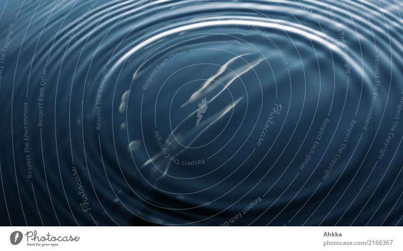 Concentric circles in water Harmonious Well-being Contentment Calm Elements Water Glittering Infinity Blue Relaxation Peace Idea Stagnating Moody Divide