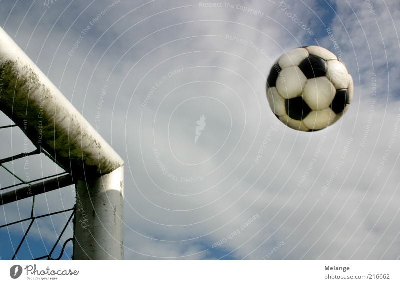 Goal! Sports Ball sports Foot ball Sporting Complex Football pitch Playing Blue Gray Leisure and hobbies Target Soccer Soccer Goal Shot Pole Sky Ambiguous