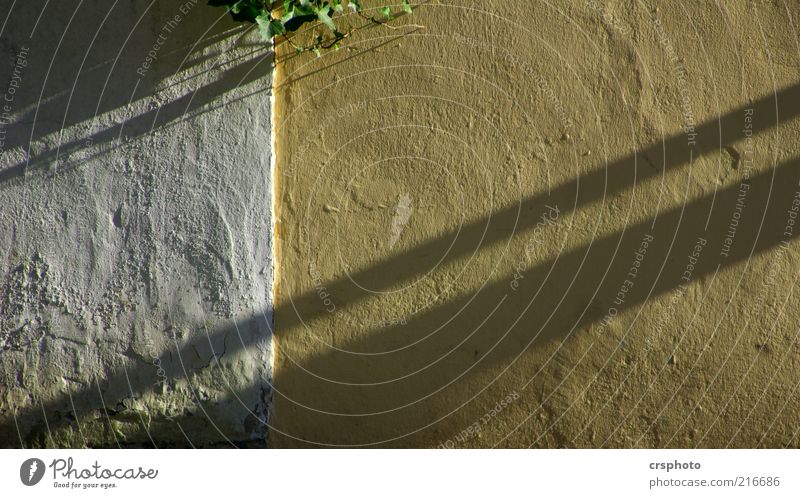 Shadows on badly plastered walls Facade Stripe Old Yellow Plaster Plastered Wall (building) Wall (barrier) Evening Colour photo Exterior shot Background picture