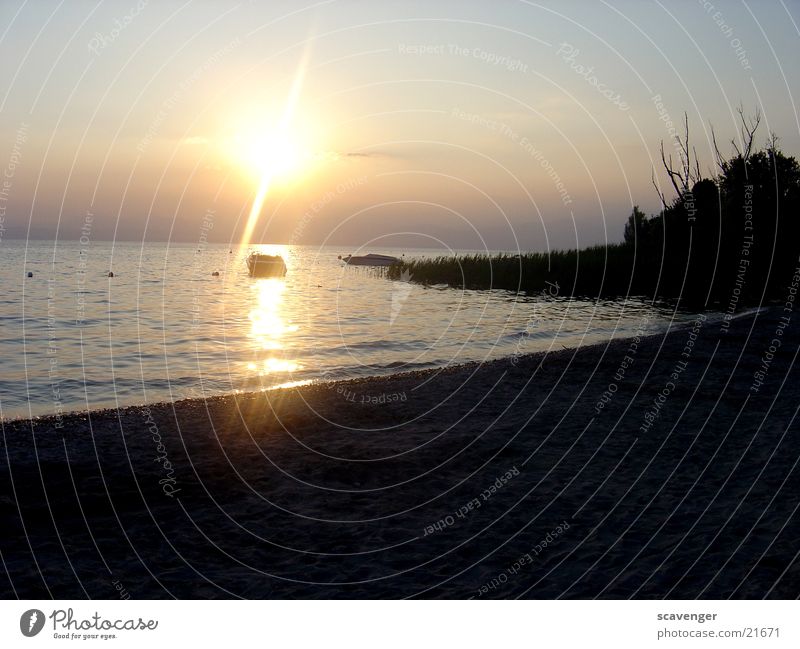 Sunset at Lake Garda Sunbeam White Light Evening sun Sunrise Dark Waves Tree Watercraft Beach Lighting Blue Bright Sky Orange Branch