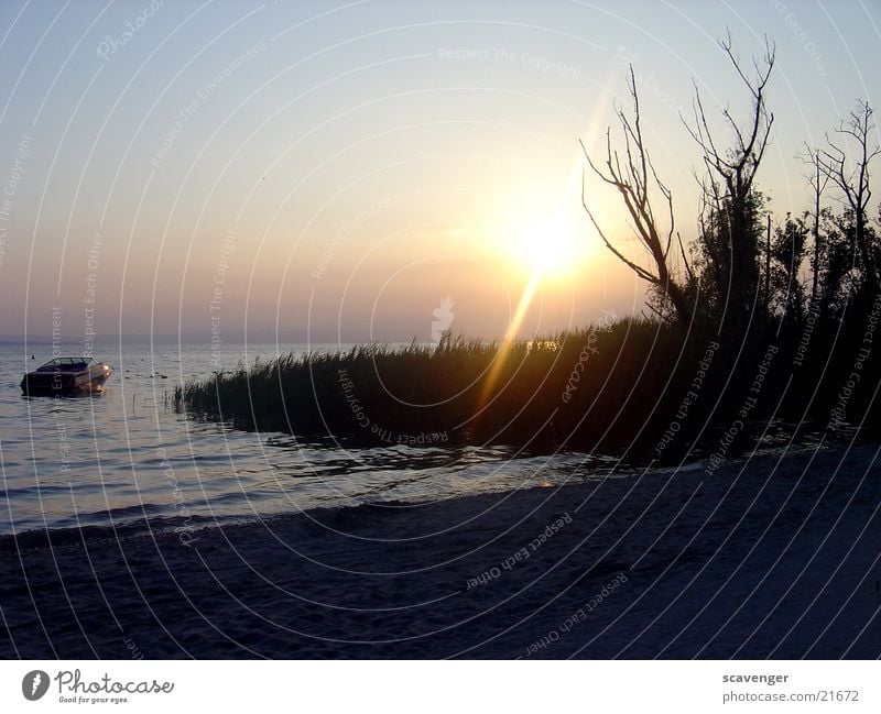 Sunset at Lake Garda Sunbeam White Light Evening sun Sunrise Dark Waves Tree Watercraft Beach Black Lighting Blue Bright Sky Orange Branch