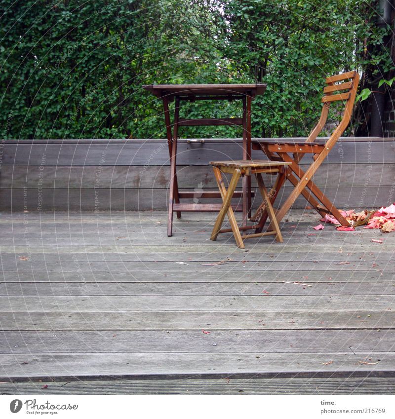 [HH10.1] - Front garden ensemble Garden Table Chair Backrest Wood Seating Furniture Exterior shot Tree Green Leaf Autumn Break Small Large Veranda Edge Border