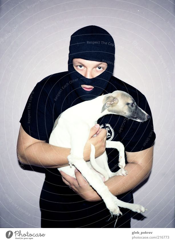 Doc #whippet Style Human being Arm 1 Clothing T-shirt Helmet Pet Dog Freeze Uniqueness Cool (slang) Power Might Safety Protection Fear Energy Documentary
