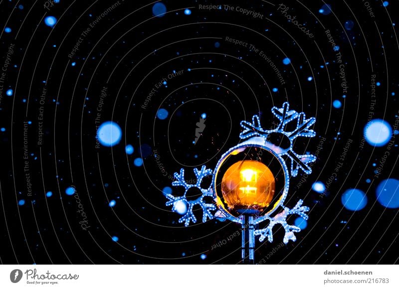 light snowfall, -15 degrees Winter Snow Ice Frost Snowfall Blue Yellow Black White Snowflake Calm Hover Night Artificial light Flash photo Contrast Low-key