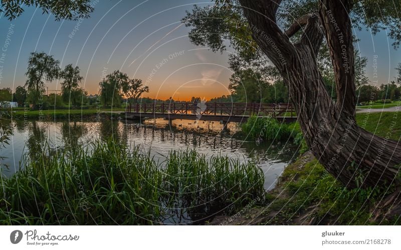 summer panoramic view in the evening city park Beautiful Leisure and hobbies Summer Nature Landscape Plant Water Sky Sunrise Sunset Weather Beautiful weather