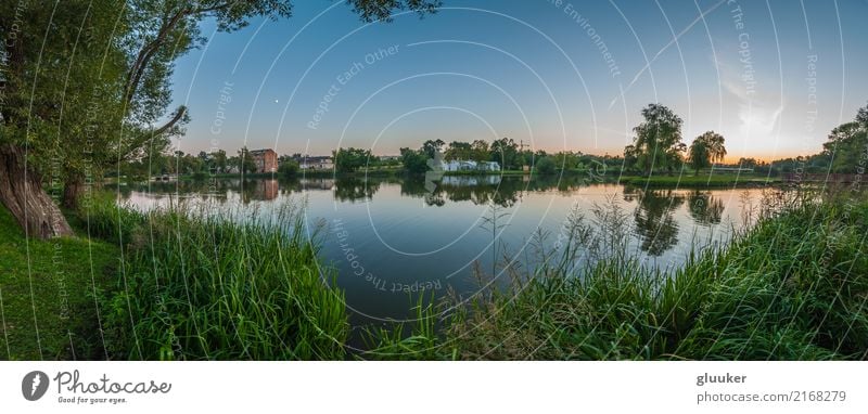 panoramic view from the coast through a lake Beautiful Mirror Nature Landscape Plant Water Sky Sunrise Sunset Summer Warmth Tree Grass Bushes Park Coast Pond