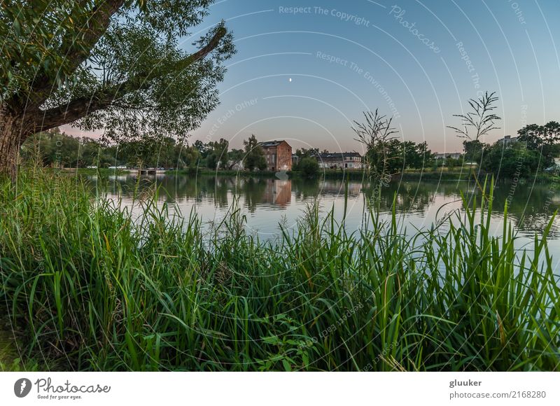 evening landscape. view from the coast Beautiful Mirror Nature Landscape Sky Tree Grass Bushes Park Coast Pond Lake River Building Old Wet Vantage point water