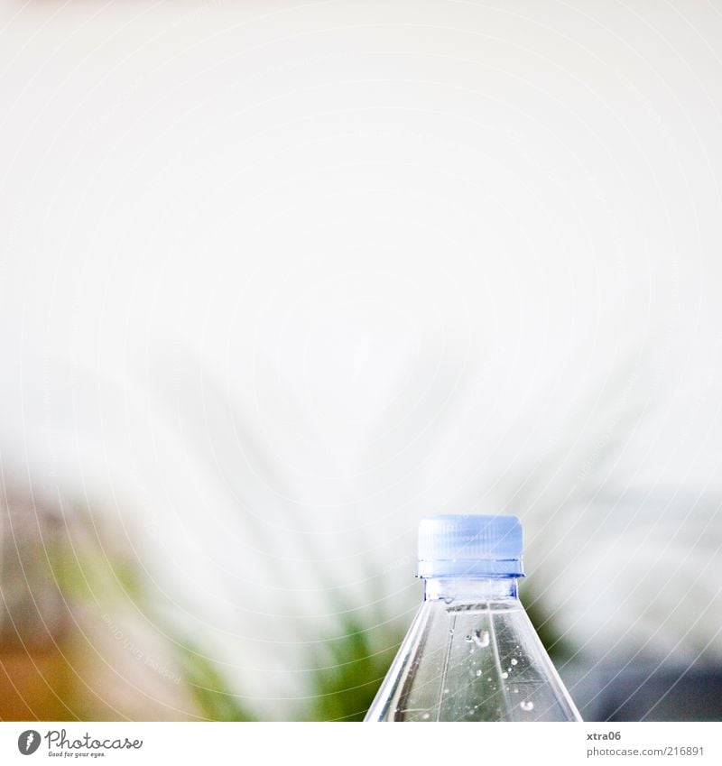 thirsty? Bottle Authentic Neck of a bottle Bottle of water Wall (building) Part of the plant Drops of water Colour photo Interior shot Copy Space top White