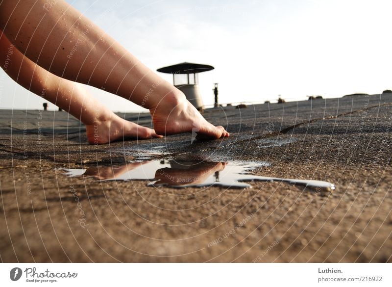 hot roof Breathe Touch Esthetic Free Wet Brown Joy Contentment Puddle Colour photo Exterior shot Day Shadow Contrast Sunlight Shallow depth of field
