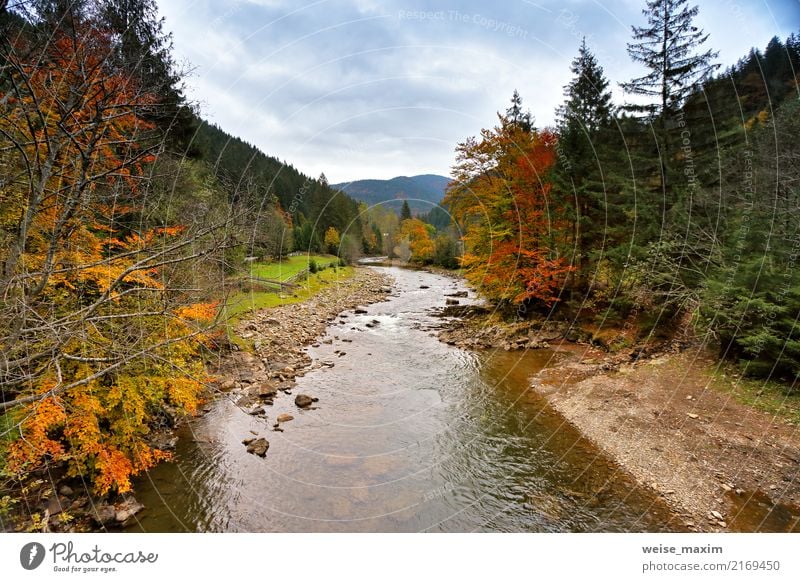 Cloudy rainy fall landscape. Bright woods autumn colors Vacation & Travel Tourism Trip Far-off places Freedom Mountain Environment Nature Landscape Sky Clouds