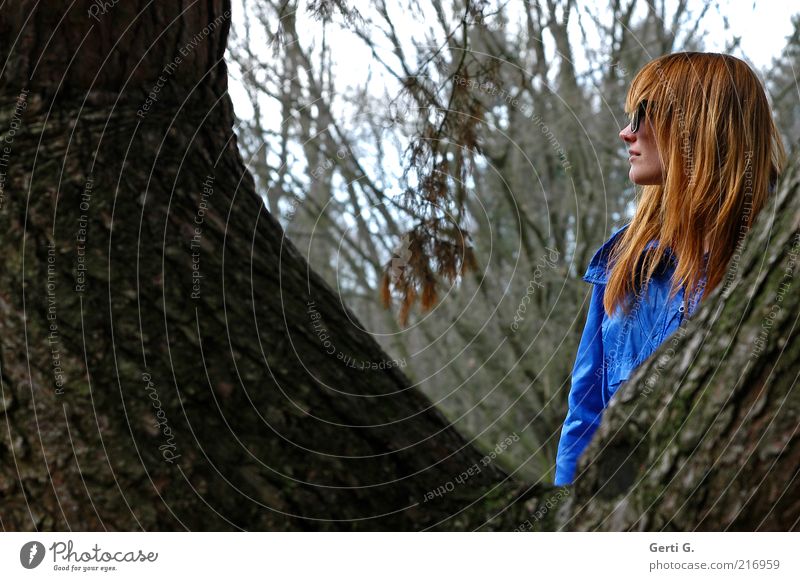 Interlude Woman Tree Eyeglasses Forest Long-haired Sunglasses Between Hide Concealed Profile Side Portrait photograph royal blue Tree bark Dark green Branch