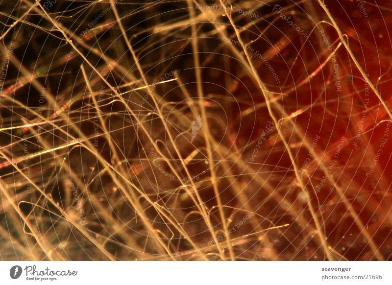 fibers Thread Style Thin Macro (Extreme close-up) Near Large Fine Yellow Dark Black Close-up Hair and hairstyles Bright