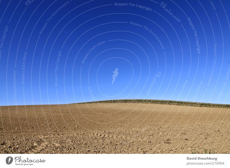 vast country Nature Landscape Sky Cloudless sky Autumn Beautiful weather Warmth Drought Field Blue Brown Earth Ground Horizon Agriculture Plowed Dry Undulating