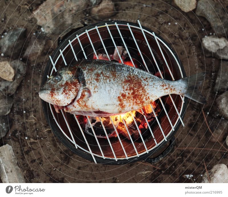 Mediterranean barbecue. Animal Esthetic Fish Dinner Barbecue (event) Barbecue (apparatus) Grill Charcoal (cooking) BBQ season Vacation photo Delicious