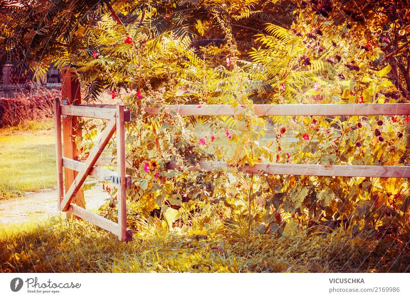 Fence and gate in an autumn garden Lifestyle Design Summer Garden Nature Landscape Plant Autumn Tree Flower Grass Bushes Leaf Blossom Park Yellow fence Gate