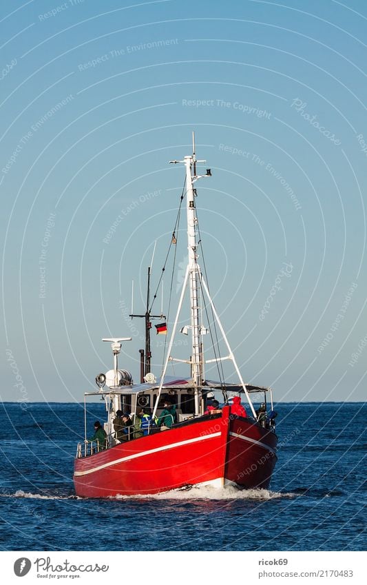 A fishing boat on the Baltic Sea near Warnemünde Vacation & Travel Tourism Ocean Nature Water Coast Fishing boat Watercraft Blue Red Tradition Environment