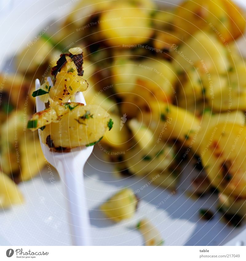 Meal! Food Hash brown potatoes Bacon Nutrition Lunch Crockery Plate Cutlery Fork Plastic To enjoy Fresh Delicious Yellow White Appetite Gluttony Colour photo