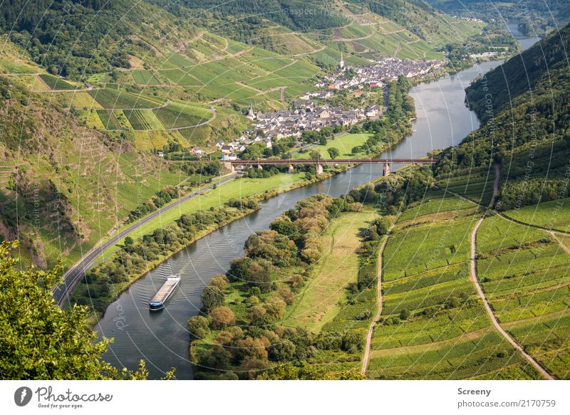 On the Moselle... Vacation & Travel Tourism Trip Nature Landscape Plant Water Summer Beautiful weather Tree Bushes Hill River Mosel (wine-growing area)