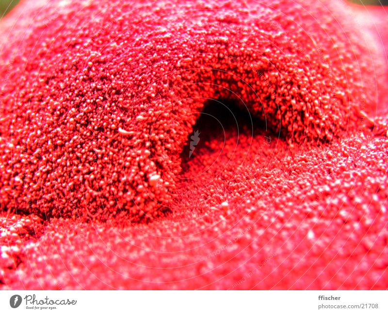 small, red cave Red Cave Riding hat Thread Obscure Macro (Extreme close-up) Detail Close-up Modding