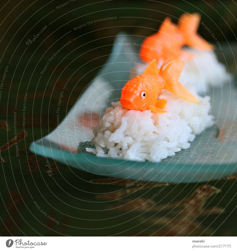 Sushi, something different Food Fish Nutrition Finger food Leisure and hobbies Animal 2 White Orange Plate Japan Life Rice Food photograph Glass Asia