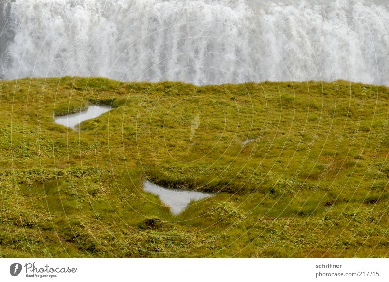 Run-up and a header in... Grass Moss Meadow Canyon Waterfall Gullfoss Iceland Puddle Loud Flow Two-piece Exterior shot Colour photo Deserted Massive Large