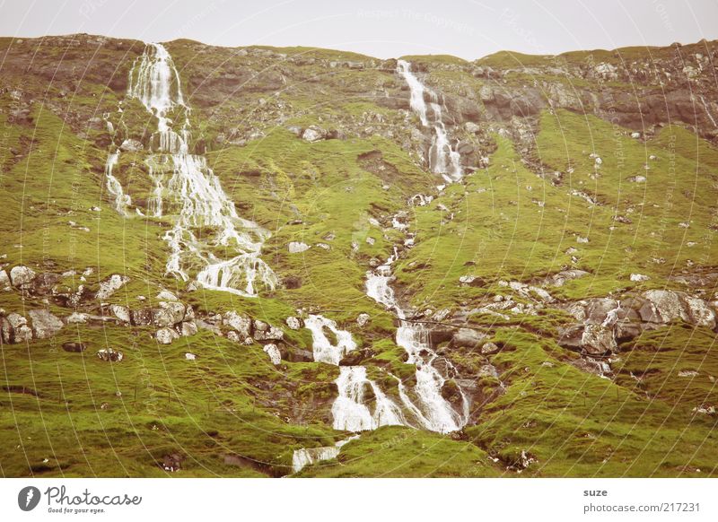 Some fossil. Mountain Water Climate Weather Hill Rock Waterfall Authentic Cold Wild Green Føroyar Flow Slope Colour photo Subdued colour Exterior shot Deserted