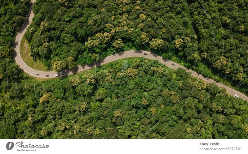 Aerial top view top view of the road through the trees, Calm Vacation & Travel Tourism Trip Summer Nature Landscape Fog Tree Grass Leaf Park Forest Street