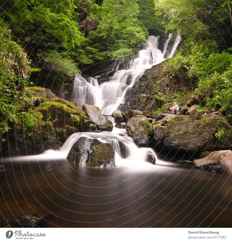 pure nature Nature Landscape Plant Water Spring Summer Tree Moss Foliage plant Forest Rock River bank Brook Waterfall Brown Green White Ireland Long exposure