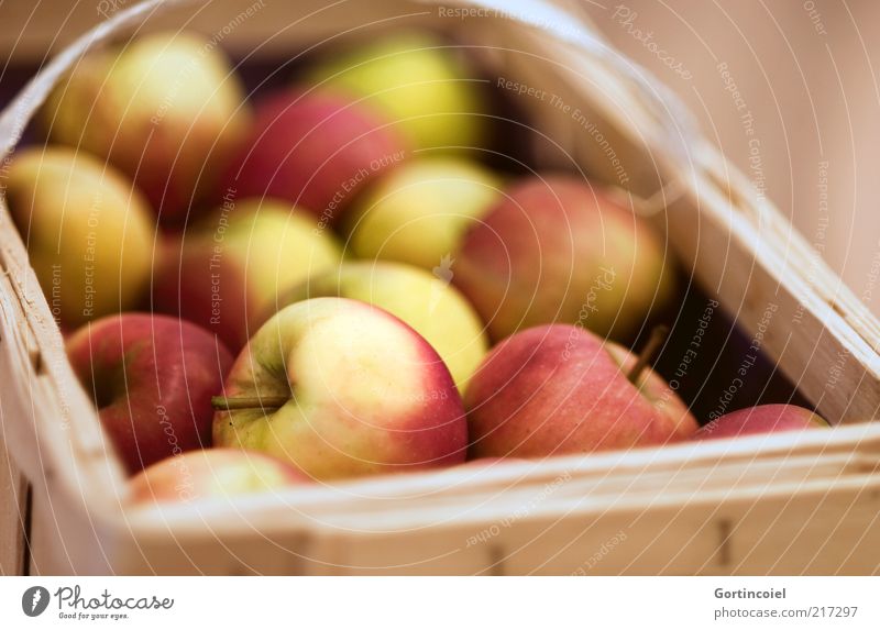 thanksgiving Food Fruit Apple Nutrition Organic produce Delicious Apple harvest Basket Crate Autumn Autumnal Healthy Eating Food photograph Colour photo