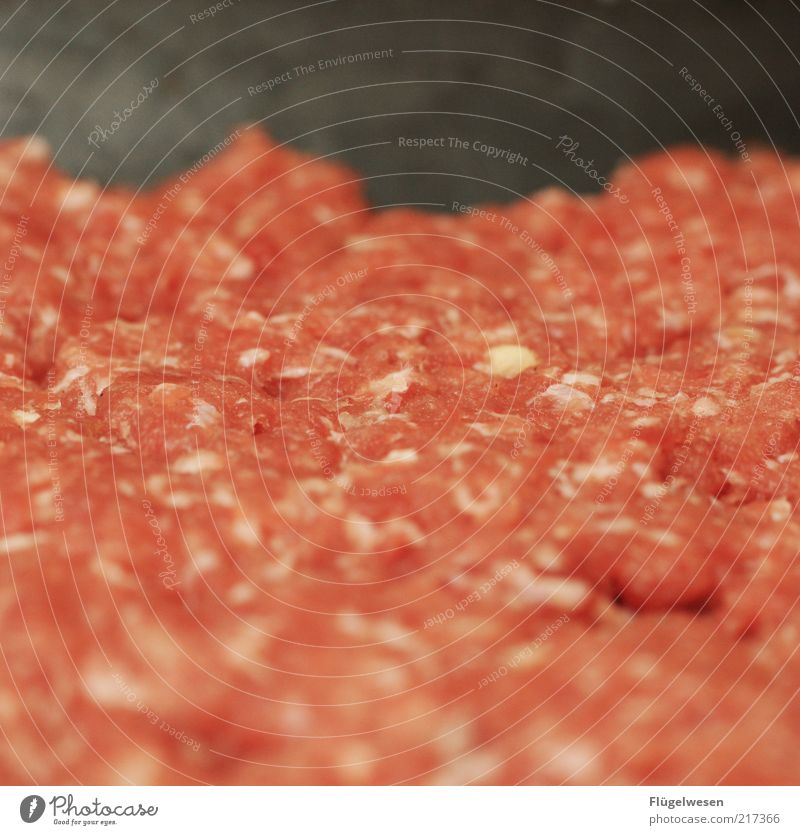 Peter Hacke Food Meat Sausage Nutrition Minced meat more minced Colour photo Interior shot Blur Raw Meat dishes Meat scare Background picture Copy Space middle