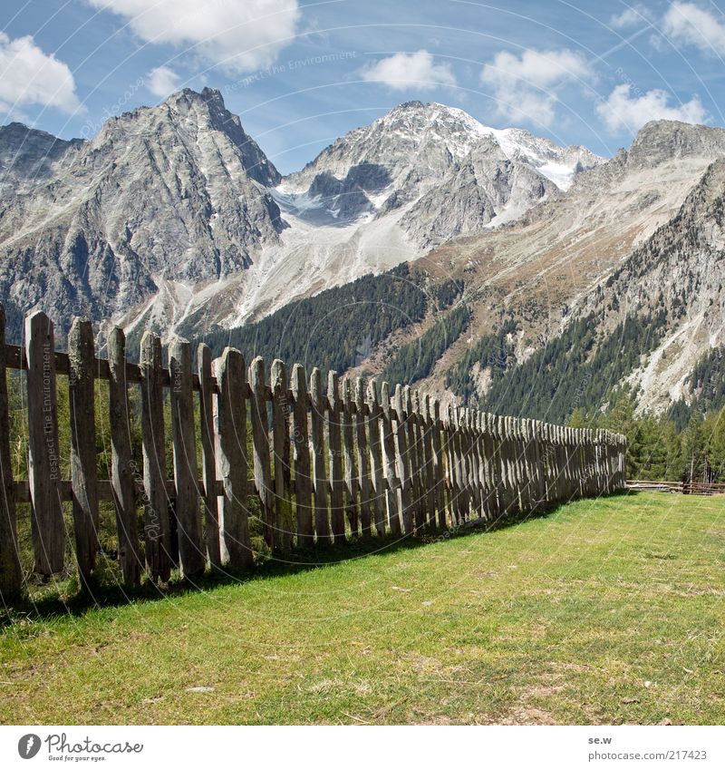 Fenced in. (Antholz [5]) Beautiful weather Meadow Alps Mountain high gall Montal Alp Alpine pasture Historic Multicoloured Green Calm Environment