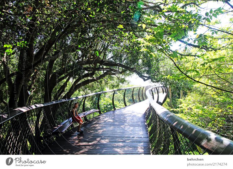 Ambiguities | tunnel vision Vacation & Travel Trip Adventure Far-off places Boy (child) Infancy 1 Human being 3 - 8 years Child Nature Plant Tree Bushes Leaf