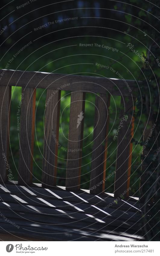 sunbed Park Deserted Bench Park bench Wooden bench Sunlight Sunbeam Old Authentic Beautiful Brown Green Calm Time Colour photo Exterior shot Detail Day Shadow