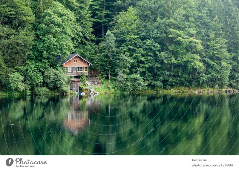 Silence at the lake Environment Nature Landscape Plant Water Summer Tree Forest Lake Freiberg Lake Hut Green Idyll Symmetry Reflection Smoothness Calm