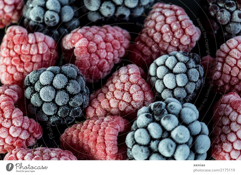 frozen raspberries and blackberries Fruit Raspberry Blackberry Organic produce Vegetarian diet Healthy Eating Summer Autumn Freeze Cold Delicious cute Red