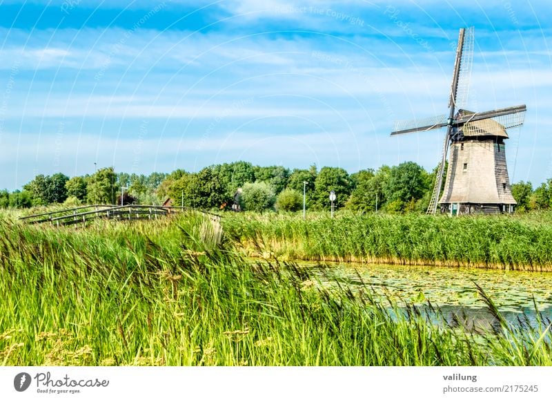 Traditional Dutch windmill Vacation & Travel Tourism Landscape Park Building Architecture Green Alkmaar Europe Netherlands colorful field Mill Windmill canal