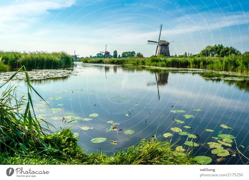 Traditional Dutch windmill Vacation & Travel Tourism Landscape Park River Building Architecture Green Alkmaar Europe Netherlands canal colorful field Mill