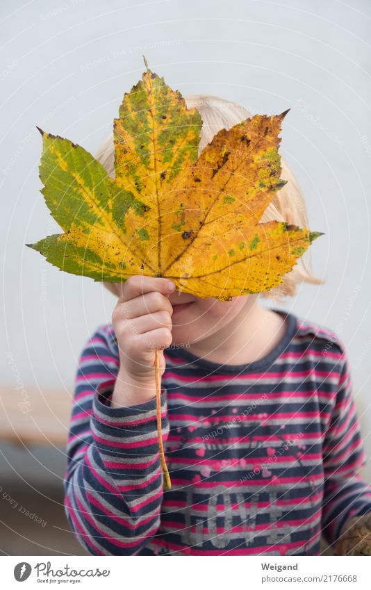 autumn child Harmonious Parenting Kindergarten Child Study Human being Toddler Girl Family & Relations Infancy 3 - 8 years Observe Growth Happy Multicoloured