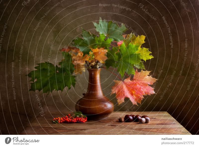 autumn Art Work of art Painting and drawing (object) Nature Plant Autumn Maple tree Berries Rawanberry Chestnut Stone Wood Old Esthetic Brown Yellow Gold Green