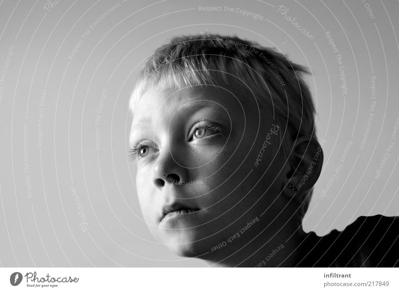you're looking. Child Boy (child) Infancy Head Face 1 Human being 3 - 8 years Observe Think Looking Dream Curiosity Gray Black White Serene Patient Calm